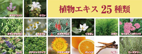 植物エキス25種類
